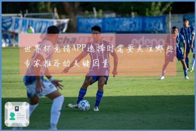 世界杯竞猜APP选择时需要关注哪些专家推荐的关键因素