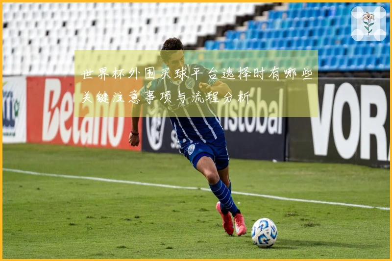 世界杯外围买球平台选择时有哪些关键注意事项与流程分析