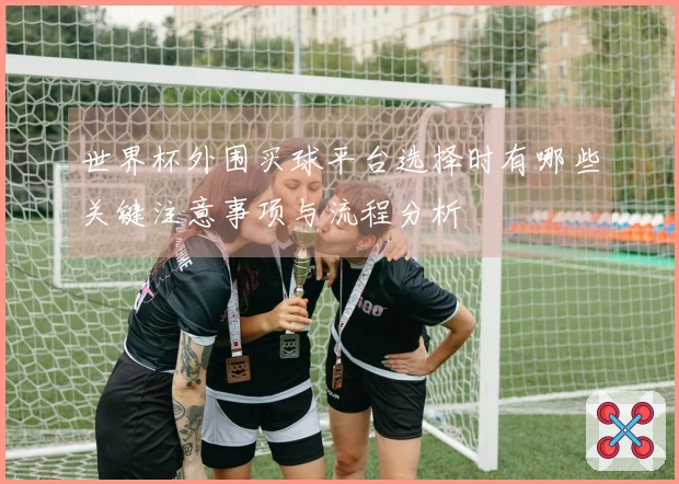 世界杯外围买球平台选择时有哪些关键注意事项与流程分析