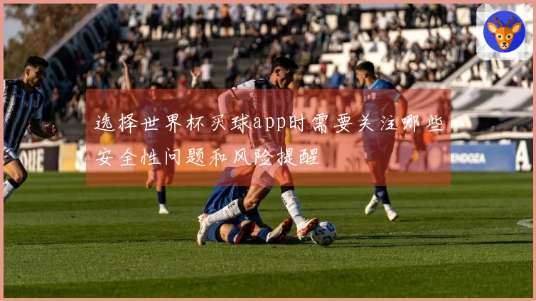 选择世界杯买球app时需要关注哪些安全性问题和风险提醒