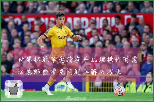 世界杯冠军竞猜在手机端操作时需注意哪些常见问题和解决方法