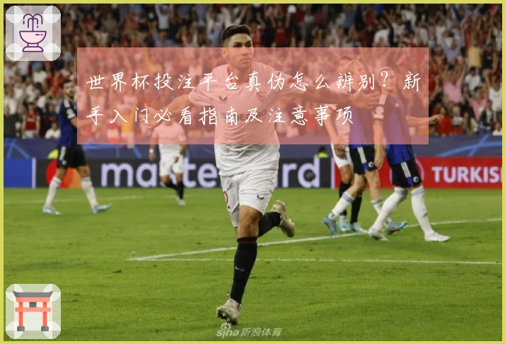 世界杯投注平台真伪怎么辨别？新手入门必看指南及注意事项