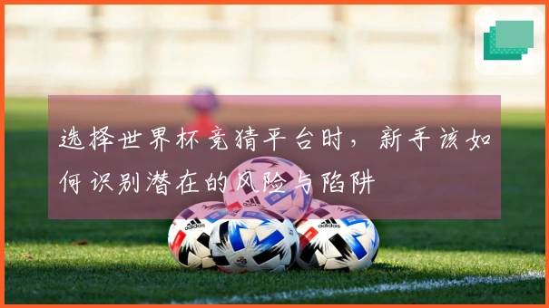 选择世界杯竞猜平台时，新手该如何识别潜在的风险与陷阱