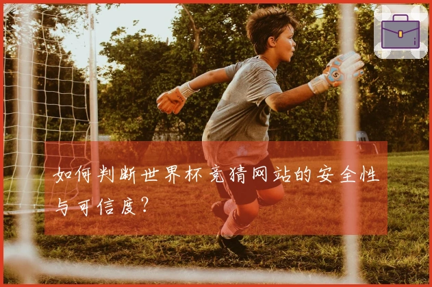 如何判断世界杯竞猜网站的安全性与可信度？