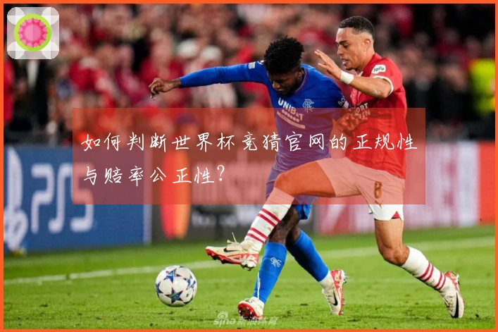 如何判断世界杯竞猜官网的正规性与赔率公正性？