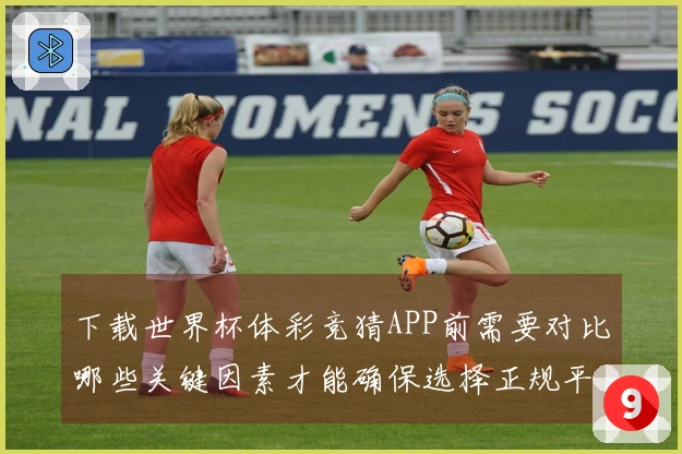 下载世界杯体彩竞猜APP前需要对比哪些关键因素才能确保选择正规平台