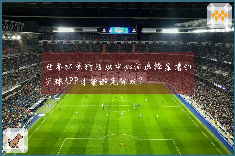 世界杯竞猜活动中如何选择靠谱的买球APP才能避免踩坑？