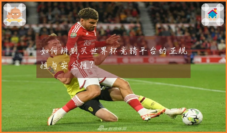 如何辨别买世界杯竞猜平台的正规性与安全性？