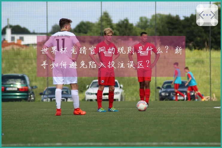 世界杯竞猜官网的规则是什么？新手如何避免陷入投注误区？