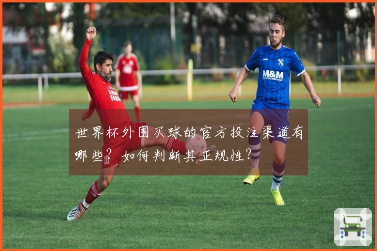世界杯外围买球的官方投注渠道有哪些？如何判断其正规性？
