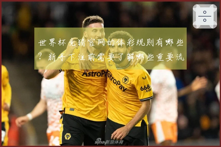 世界杯竞猜官网的体彩规则有哪些？新手下注前需要了解哪些重要流程？