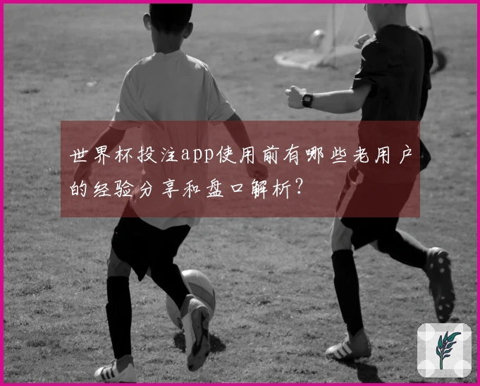 世界杯投注app使用前有哪些老用户的经验分享和盘口解析？