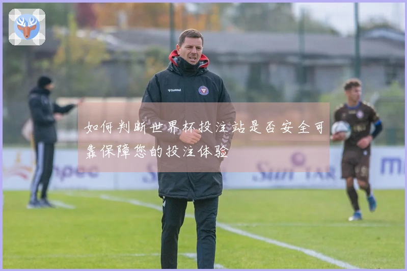 如何判断世界杯投注站是否安全可靠保障您的投注体验