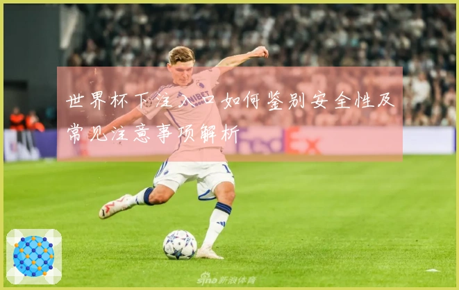 世界杯下注入口如何鉴别安全性及常见注意事项解析