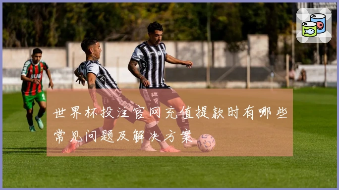 世界杯投注官网充值提款时有哪些常见问题及解决方案