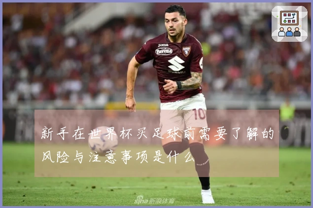 新手在世界杯买足球前需要了解的风险与注意事项是什么