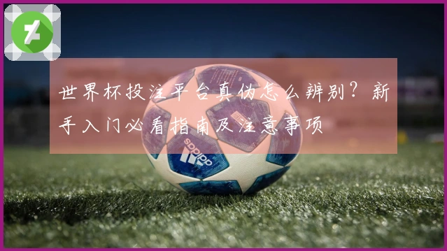 世界杯投注平台真伪怎么辨别？新手入门必看指南及注意事项