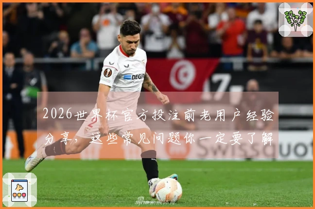 2026世界杯官方投注前老用户经验分享，这些常见问题你一定要了解