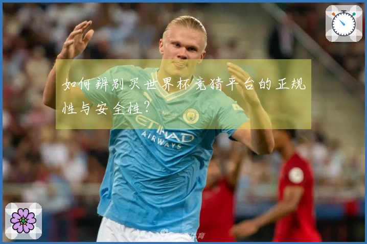 如何辨别买世界杯竞猜平台的正规性与安全性？