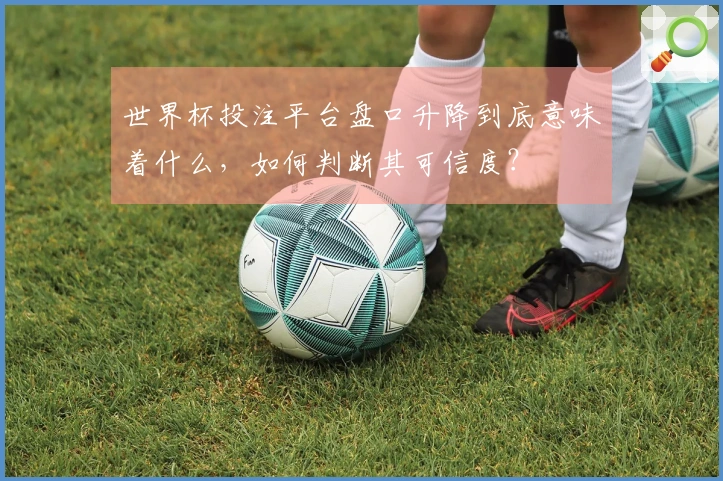 世界杯投注平台盘口升降到底意味着什么，如何判断其可信度？