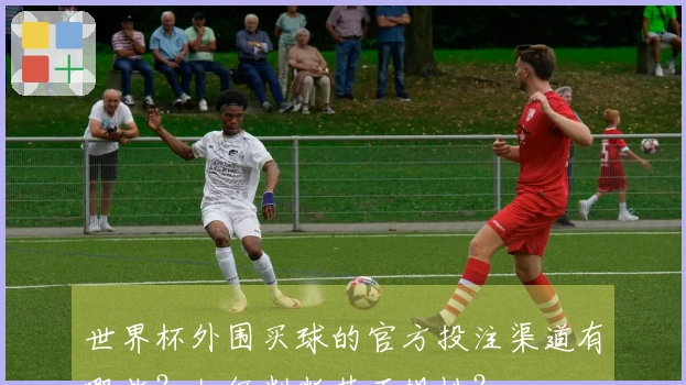 世界杯外围买球的官方投注渠道有哪些？如何判断其正规性？