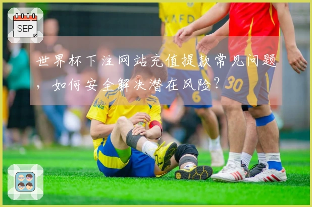 世界杯下注网站充值提款常见问题，如何安全解决潜在风险？