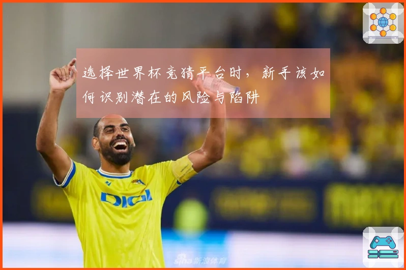 选择世界杯竞猜平台时，新手该如何识别潜在的风险与陷阱