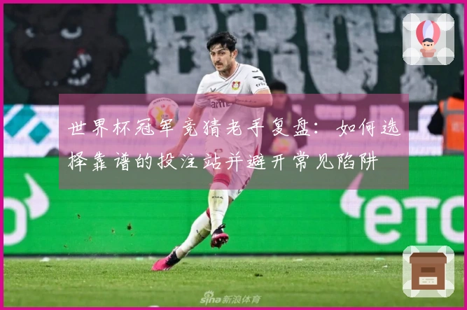 世界杯冠军竞猜老手复盘：如何选择靠谱的投注站并避开常见陷阱