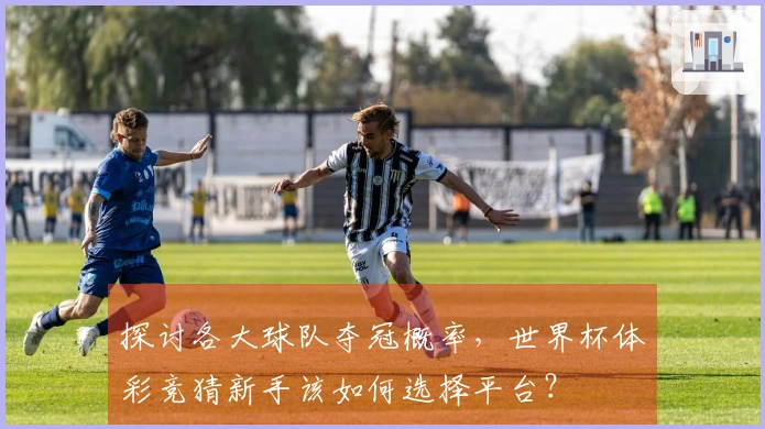 探讨各大球队夺冠概率，世界杯体彩竞猜新手该如何选择平台？