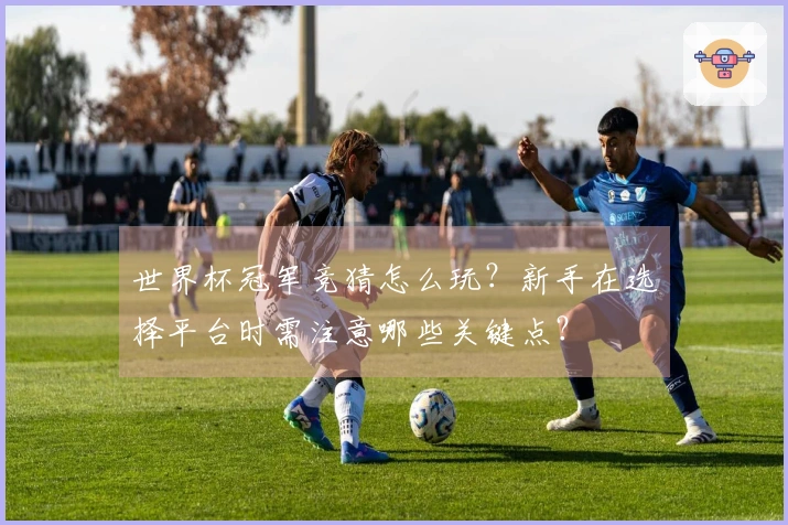 世界杯冠军竞猜怎么玩？新手在选择平台时需注意哪些关键点？