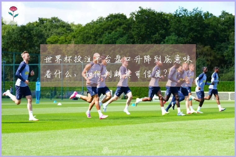 世界杯投注平台盘口升降到底意味着什么，如何判断其可信度？