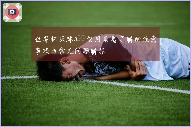 世界杯买球APP使用前需了解的注意事项与常见问题解答